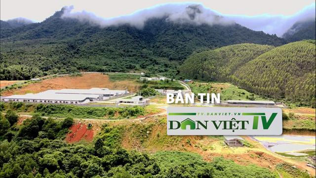 Bản tin Dân Việt TV 26/8: Người dân Bắc Kạn phản đối xây thêm trại lợn ở đầu nguồn nước