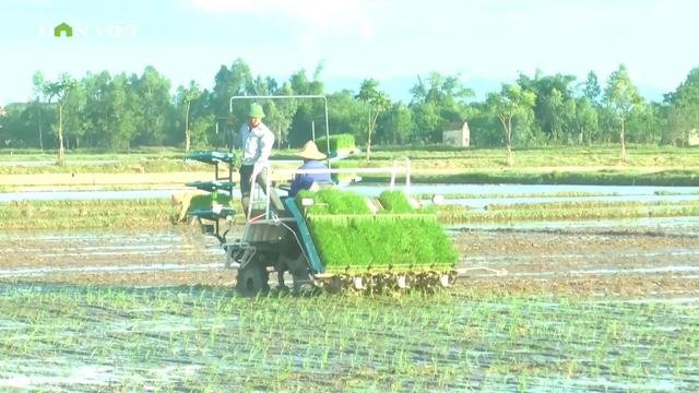 “Lão nông” Hà Tĩnh đánh thức tiềm năng đất lúa kém hiệu quả xây dựng nên thương hiệu gạo OCOP