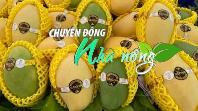 Chuyển động Nhà nông 27/3: An Giang xuất khẩu lô xoài keo đầu tiên sang Hàn Quốc