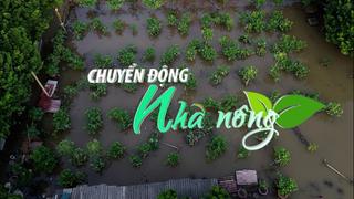 Chuyển động Nhà nông 27/7: Hơn 4.000 ha lúa và hoa màu của nông dân Hà Nội bị ngập úng chờ giải cứu