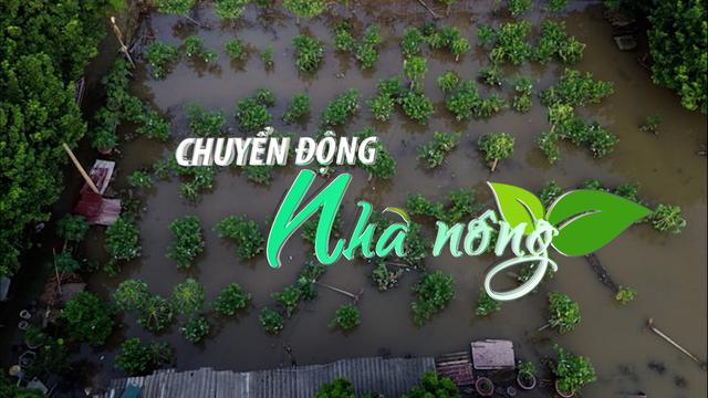 Chuyển động Nhà nông 27/7: Hơn 4.000 ha lúa và hoa màu của nông dân Hà Nội bị ngập úng chờ giải cứu