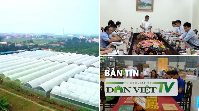 Bản tin Dân Việt TV 27/9: Họp bình chọn HTX tiêu biểu toàn quốc 2024, có HTX doanh thu 217 tỷ đồng/năm