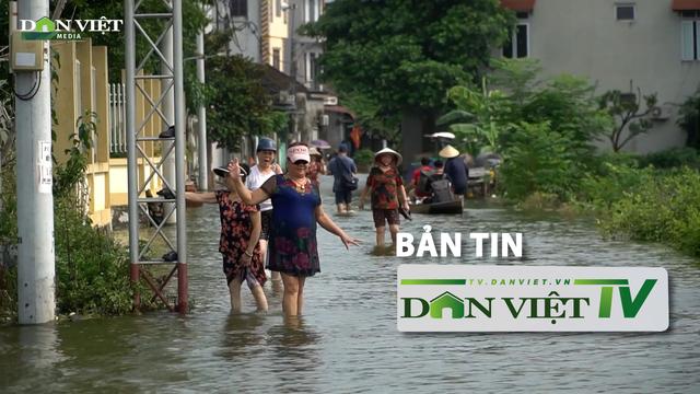 Bản tin Dân Việt TV 29/7: Dân vùng lũ Hà Nội đối mặt dịch bệnh bùng phát