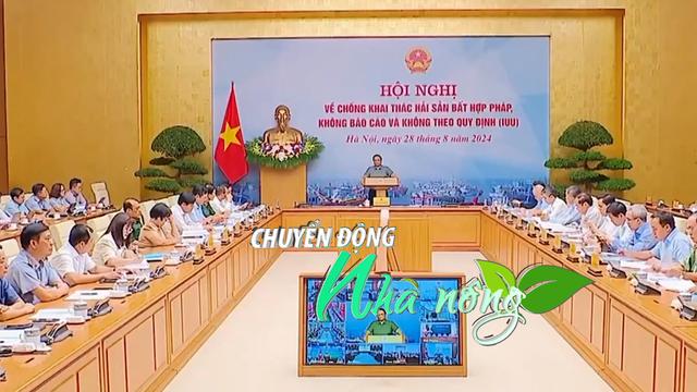 Chuyển động Nhà nông 29/8: Thủ tướng yêu cầu xử lý nghiêm trách nhiệm người đứng đầu trong chống khai thác IUU 