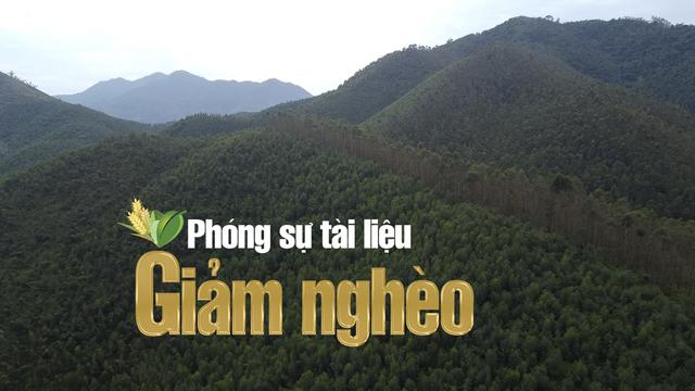 Trồng rừng ở miền núi Phú Thọ: Hướng đi bền vững cho người dân thoát nghèo