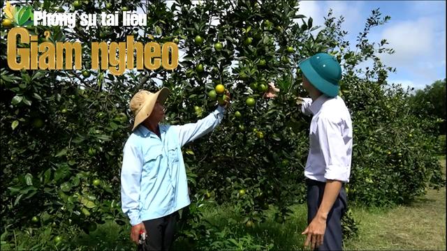 Hải Lăng (Quảng Trị) giảm nghèo bền vững: Khi người dân biết “gieo vàng” trên đất đỏ