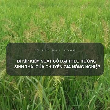 SỔ TAY NHÀ NÔNG: Bí kíp kiểm soát cỏ dại theo hướng sinh thái của chuyên gia nông nghiệp