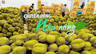 Chuyển động Nhà nông 4/4: 2 tháng đầu năm 2024, xuất khẩu sầu riêng đạt xấp xỉ cả năm 2022 