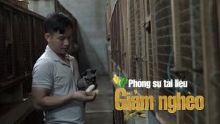 Một vùng đất nghèo ở Quảng Trị hồi sinh kỳ diệu nhờ mô hình nuôi chồn hương