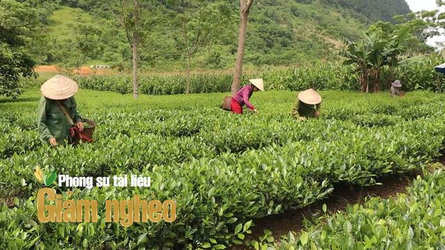Chuyện đánh thức vùng đất khó tại một xã vùng thấp ở Hòa Bình, nay là tỉnh Phú Thọ