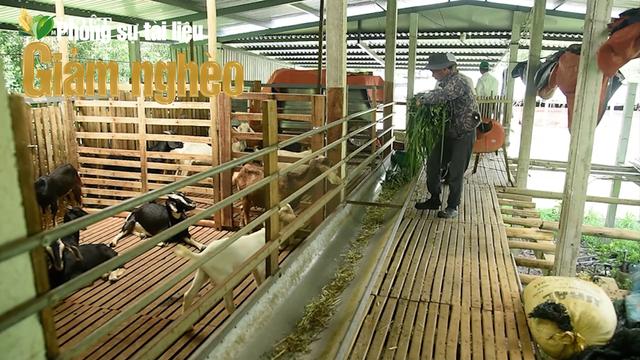 Khi nông nghiệp xanh trở thành con đường thoát nghèo của nông dân Hòa Vang, Đà Nẵng