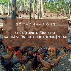 SỔ TAY NHÀ NÔNG: Chế độ dinh dưỡng cho đàn gà thả vườn 