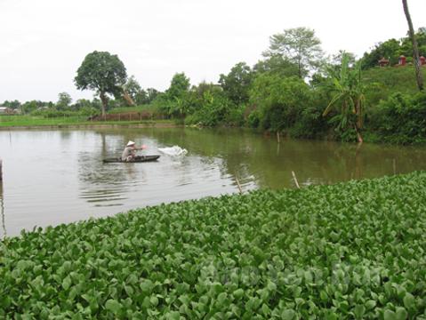 Hướng dẫn: Đảm bảo mực nước ao nuôi cá trong những ngày nắng nóng