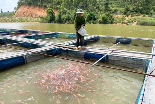 Hướng dẫn: Xử lý kịp thời hiện tượng thiếu Oxy trong nước cho đàn cá