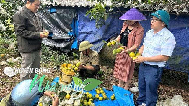 Chuyển động Nhà nông 14/11: Nông dân bán gà, lợn đặc sản nhờ “chốt đơn” trên mạng xã hội