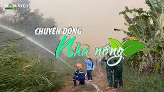 Chuyển động Nhà nông 16/5: Hơn 31.000ha rừng dự báo cháy cấp V ở Cà Mau 