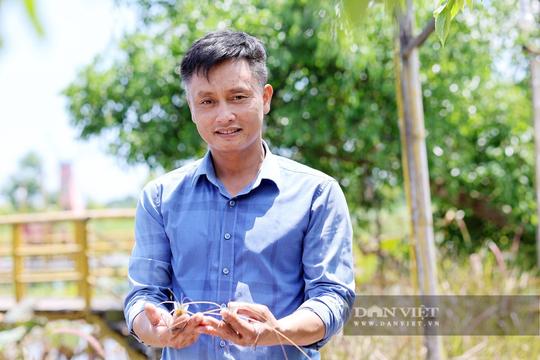 Hà Tĩnh: Biến đồng trũng thành "thôn trang", mô hình nông nghiệp xanh gắn du lịch trong xây dựng nông thôn mới