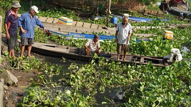 Nước sông Vàm Cỏ Đông chuyển màu đen, bốc mùi hôi thối khó chịu