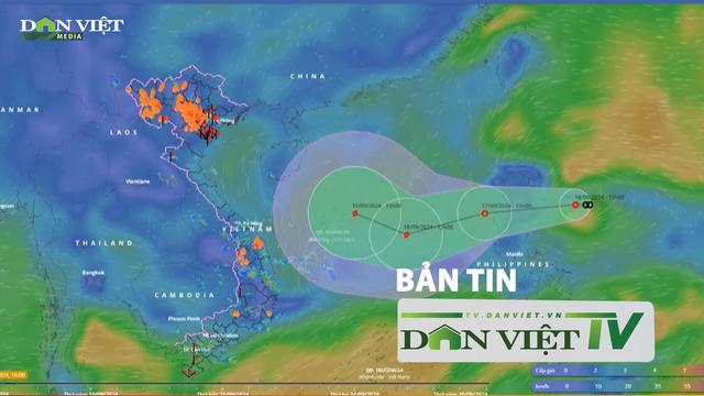 Bản tin Dân Việt TV 17/9: Áp thấp nhiệt đới có thể đi vào Biển Đông, mạnh lên thành bão trong đêm nay