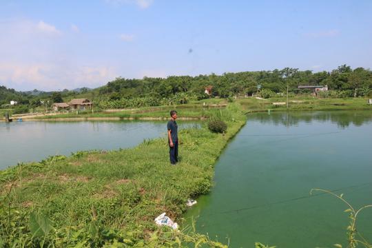 Nông dân xuất sắc Việt Nam ở Lào Cai đi lên từ con số 0