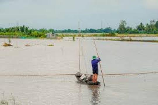 Ngư dân vùng đầu nguồn ở An Giang mưu sinh mùa lũ