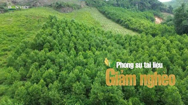 Tuyên Quang: Những bước chân Kiểm lâm "không mỏi" cùng nông dân biến rừng thành sinh kế bền vững