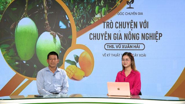 GÓC CHUYÊN GIA: Những điều cần thực hiện trước khi sử dụng các biện pháp phòng trừ sâu bệnh trên cây xoài