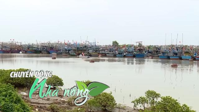 Chuyển động Nhà nông 23/9: Địa phương chạy đua ứng phó siêu bão RAGASA