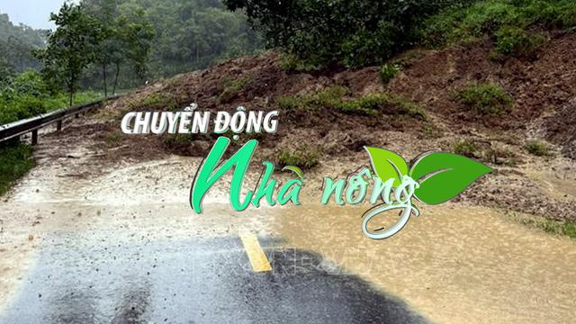 Chuyển động Nhà nông 26/8: Bắc Kạn mưa lớn, sạt lở đất gây thiệt hại khoảng 2 tỷ đồng