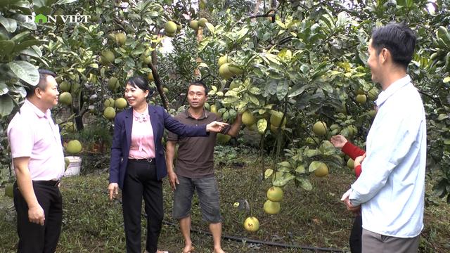 Nông dân xã Quy Mông (tỉnh Lào Cai) phát huy nguồn vốn vay phát triển kinh tế, xây dựng nông thôn mới