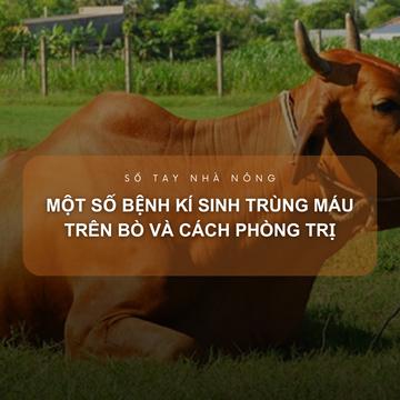 SỔ TAY NHÀ NÔNG: Một số bệnh kí sinh trùng máu trên bò và cách phòng trị