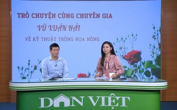 GÓC CHUYÊN GIA: Kỹ thuật bón phân cho hoa hồng theo từng giai đoạn