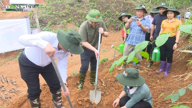 Hội Nông dân Bắc Kạn góp sức cùng tỉnh trồng 3.500ha rừng mỗi năm