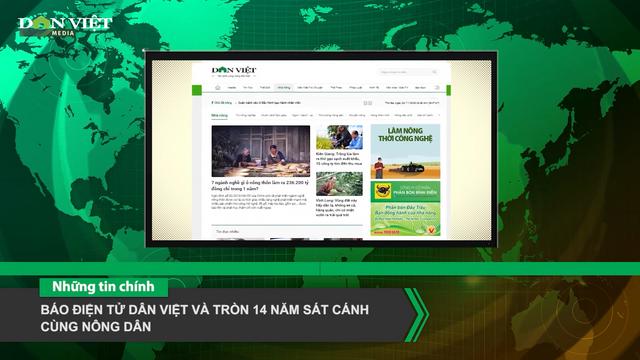 Bản tin Dân Việt TV 8/6: Báo điện tử Dân Việt và tròn 14 năm sát cánh cùng nông dân