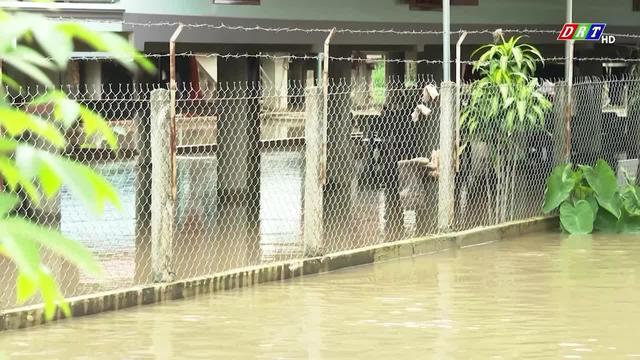 Nhiều diện tích lúa và hoa màu ở huyện Lắk chìm trong nước lũ