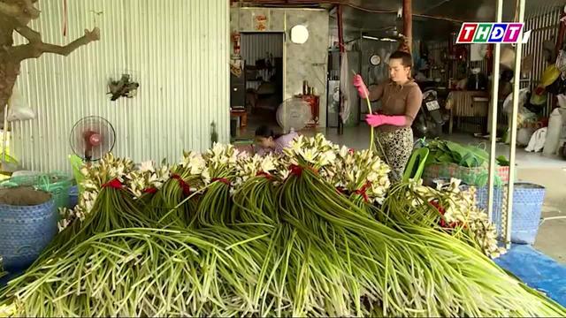 Đồng Tháp trồng bông súng trong mùa nước nổi