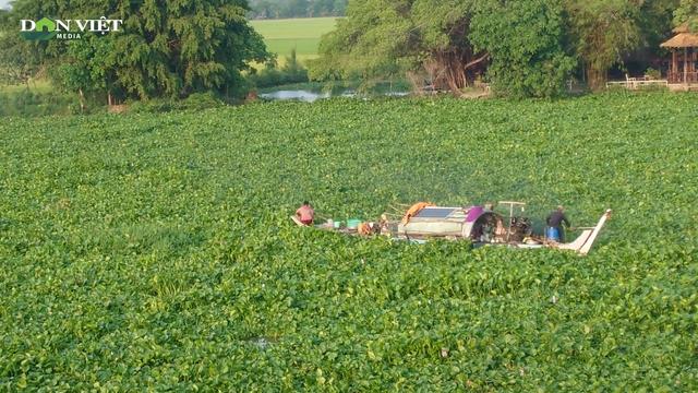 Sông Vàm Cỏ Đông ô nhiễm, người dân Tây Ninh kêu cứu