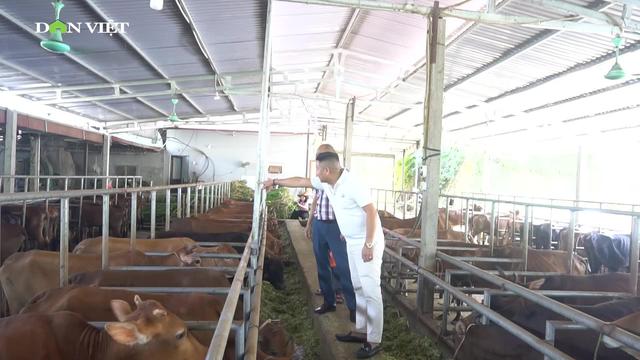 Hoàng Văn Liêm, giám đốc 8X người Tày thay đổi diện mạo kinh tế xã Yên Thành